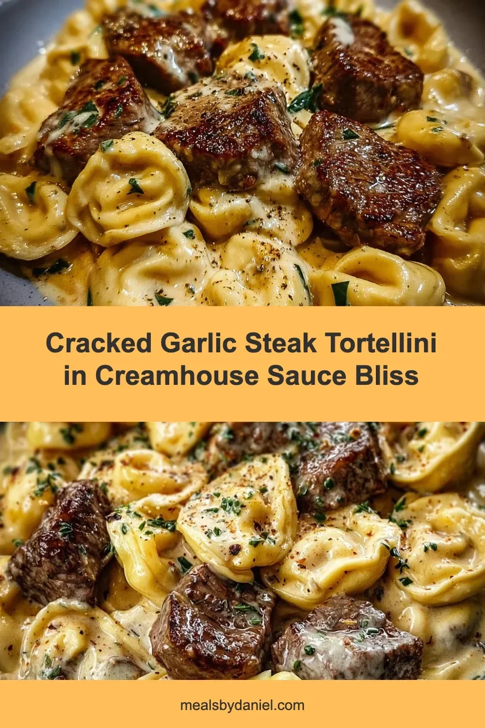 Cracked Garlic Steak Tortellini in Creamhouse Sauce Bliss