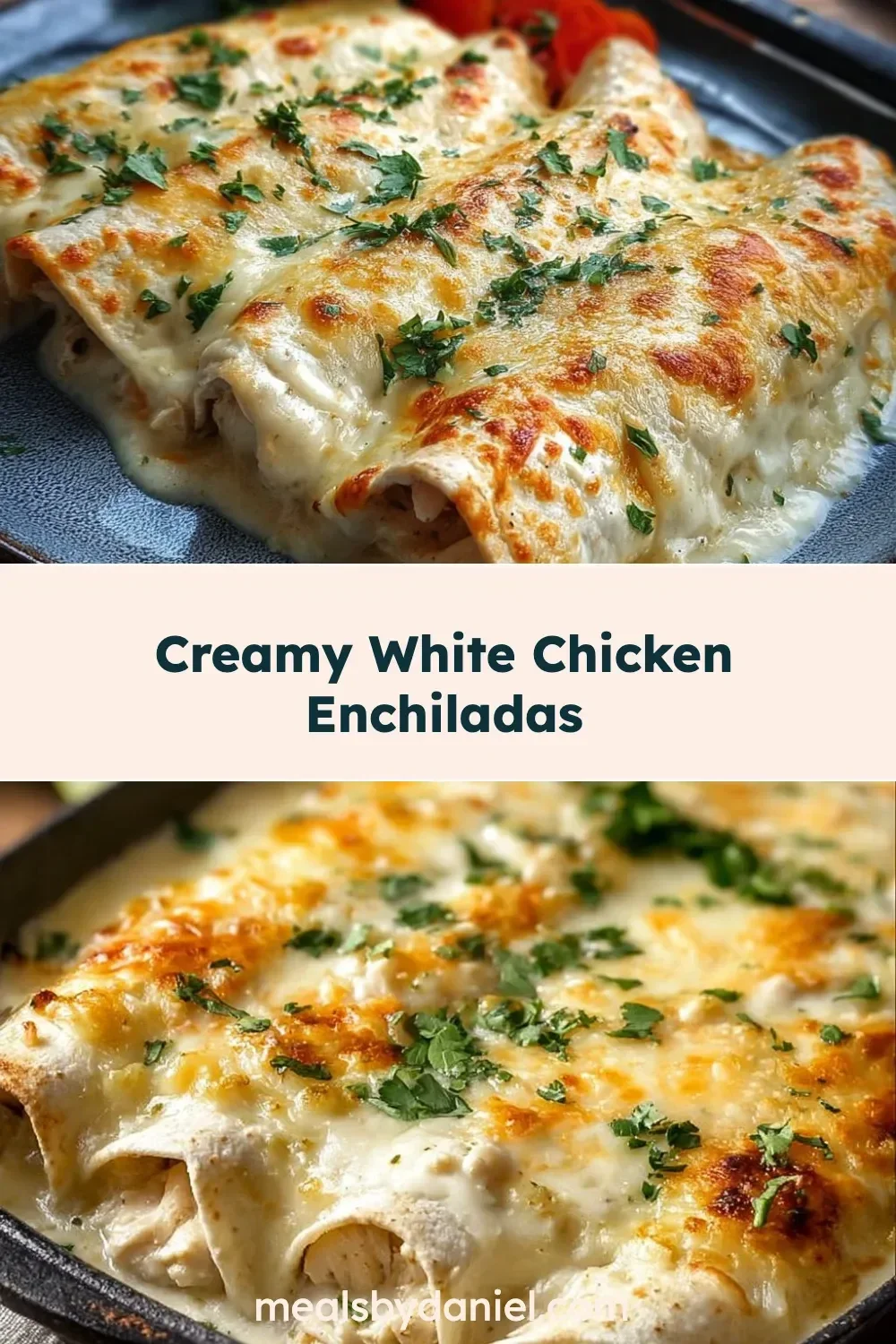 Creamy White Chicken Enchiladas