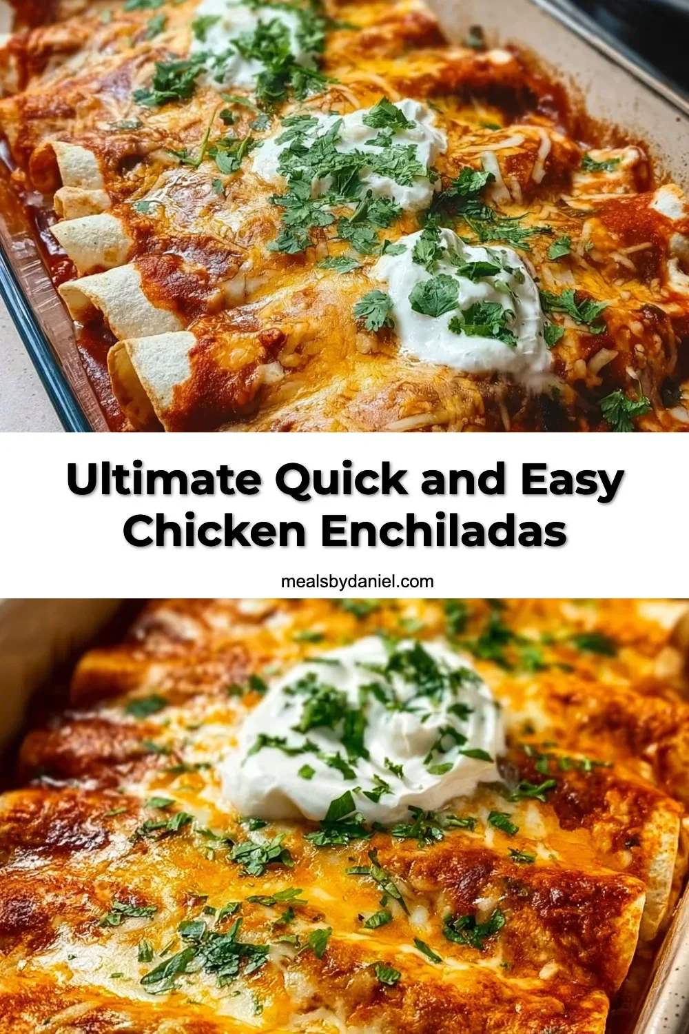Ultimate Quick and Easy Chicken Enchiladas